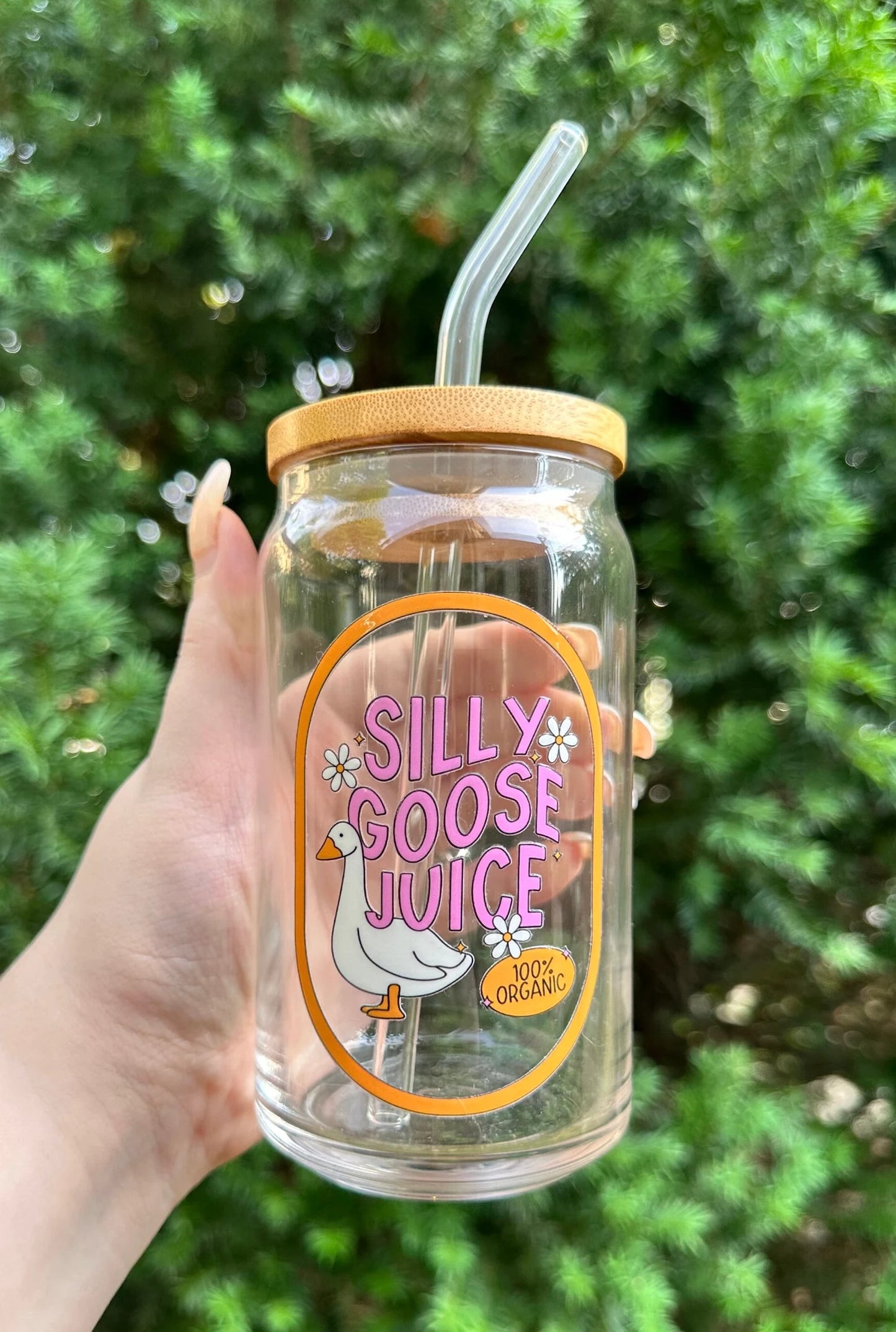 Silly Goose Juice l Glass Tumbler With Straw And Lid l